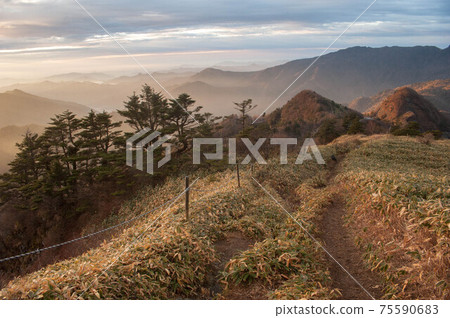 山 75590683