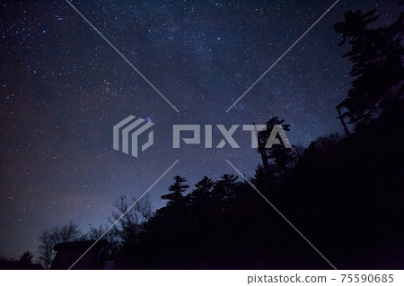 Starry sky Starry sky 75590685