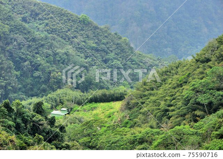 山上風景-苗栗梅園村,台灣 山上風景-苗栗梅園村,台灣 75590716