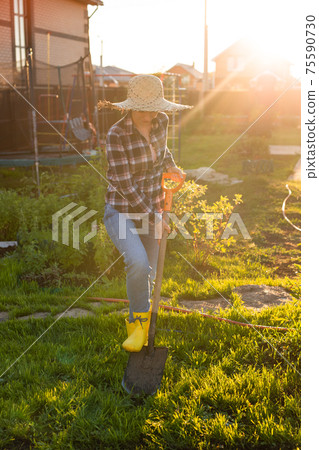 Positive female gardener digs the beds with shovel on sunny warm spring day. Plant care and planting concept for the new season 75590730