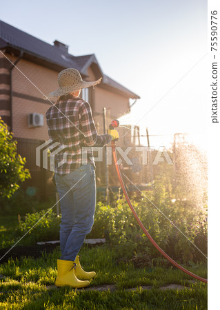 Caucasian woman gardener in work clothes watering the beds in her vegetable garden on sunny warm summer day. Concept of working in the garden and your farm 75590776