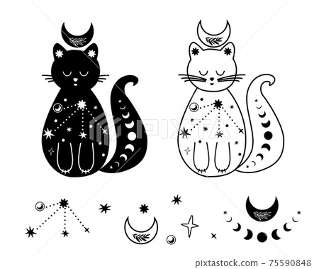Moon cat set. Black and white celestial cat, stars. Magic domestic animal. Celestial kitty Vector tattoo 75590848