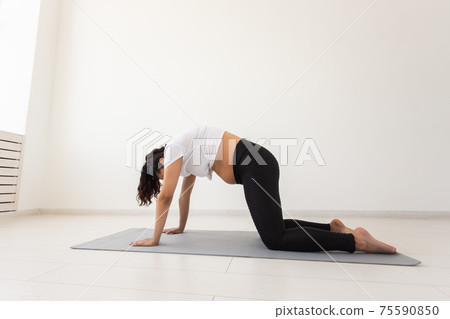 Purposeful pregnant woman exercises during yoga class and relaxes while sitting on a mat on the floor. Concept of physical and mental preparation of the body for childbirth. Place for text 75590850