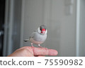 Silver Stone Bird 75590982