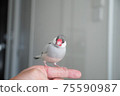 Silver Stone Bird 75590987