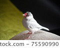 Silver Stone Bird 75590990