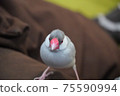 Silver Stone Bird 75590994