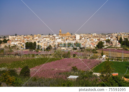 Cieza with its church, Parroquia La Asuncion in the Murcia region in Spain 75591095