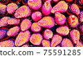 Color-processed photo with lots of strawberries 75591285