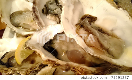 Raw oysters with shells, which are popular as edible shellfish all over the world Raw oysters with shells, which are popular as edible shellfish all over the world 75591287