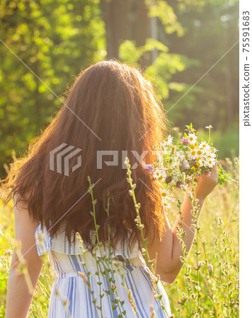 Rear view of beautiful young woman walking among wildflowers on sunny summer day. Concept of the joy of communicating with summer nature Rear view of beautiful young woman walking among wildflowers on sunny summer day. Concept of the joy of communicating with summer nature 75591683