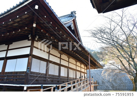 冬天的西光寺 冬天的西光寺 75591955