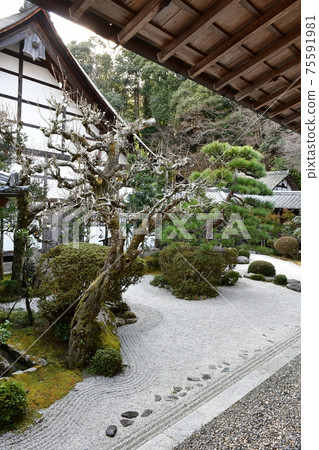 Saikyoji Temple in winter Saikyoji Temple in winter 75591981