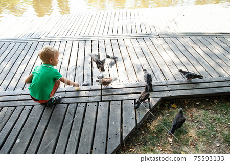 Little kid feeding pigeons on street in summer day in park 75593133