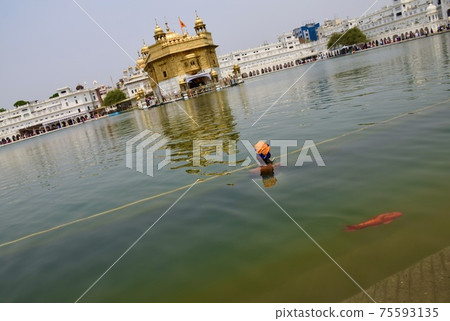 Golden Temple in Amritsar, India and ablution with carp Golden Temple in Amritsar, India and ablution with carp 75593135