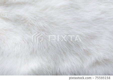 White fur background texture. Fluffy rabbit fur White fur background texture. Fluffy rabbit fur 75593158