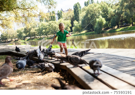 Little boy running on wooden path in summer day Little boy running on wooden path in summer day 75593191