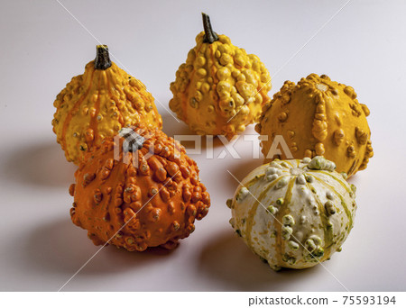 Decorative Gourd on white 75593194