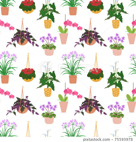 Seamless pattern from different potted house plants in colorful flower pots, orchid and begonia. 75593978