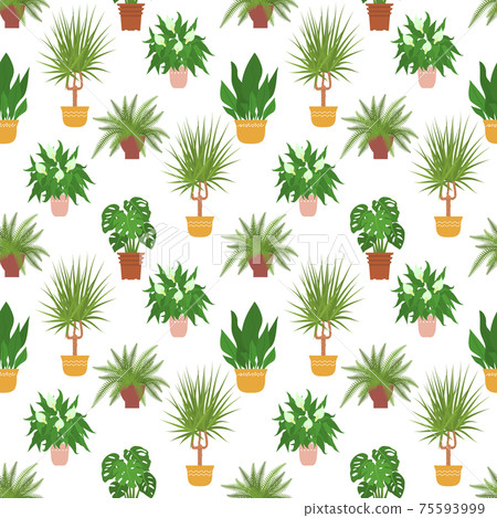 Seamless pattern with potted house plants... - Stock Illustration ...