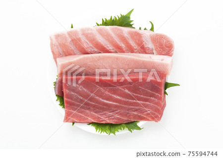 藍鰭金槍魚的生魚片柵欄 75594744