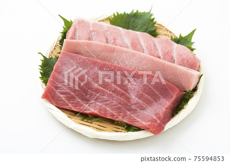 Sashimi fence of bluefin tuna Sashimi fence of bluefin tuna 75594853