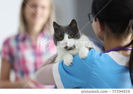 Veterinarian doctor holds cat in his arms Veterinarian doctor holds cat in his arms 75594859