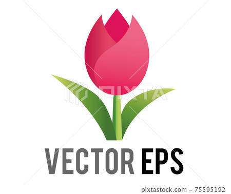 Vector pink tulip flower icon with green stem and leaves 75595192