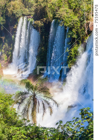 Iguazu Falls or Waterfall landscape 75595478