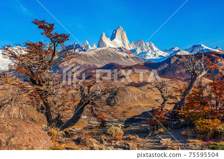 Fitz Roy mountain, Patagonia Fitz Roy mountain, Patagonia 75595504