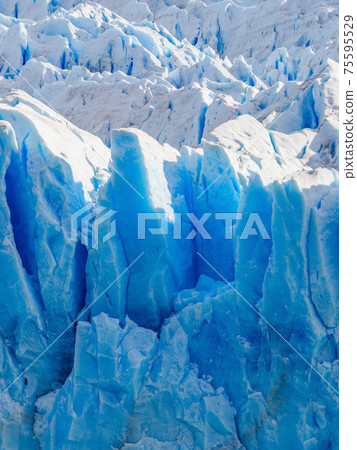 The Perito Moreno Glacier The Perito Moreno Glacier 75595529