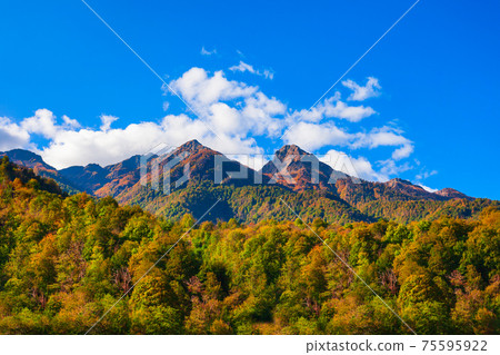 Caucasus mountains, Rosa Khutor, Sochi Caucasus mountains, Rosa Khutor, Sochi 75595922