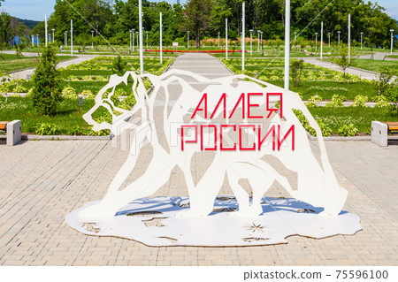 Far Eastern Federal University 75596100