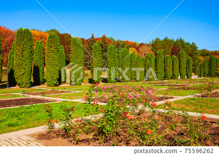 Rose garden in Kislovodsk National Park 75596262