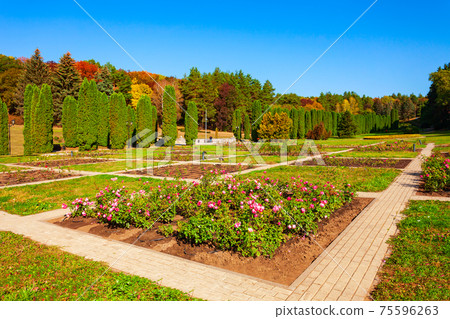 Rose garden in Kislovodsk National Park 75596263