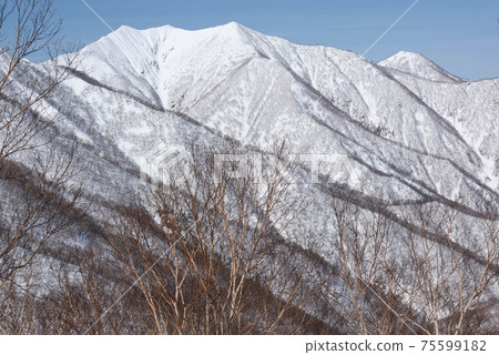 冬季在日高山脈的豐臣山 冬季在日高山脈的豐臣山 75599182