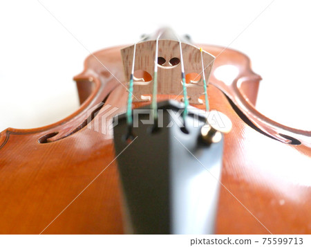 Violin from the player's perspective Violin from the player's perspective 75599713