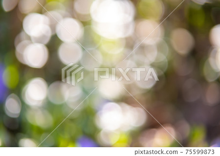 Abstract pastel green bokeh with light circles of defocused blur. Abstract pastel green bokeh with light circles of defocused blur. 75599873