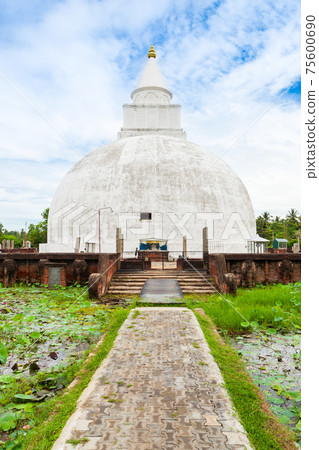 Yatala Wehera buddhist stupa Yatala Wehera buddhist stupa 75600690