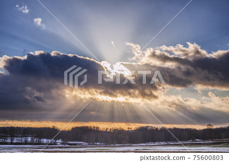 Sunset over the snowy field with sunrays Sunset over the snowy field with sunrays 75600803