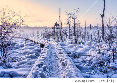 Wooden Footbridge on Hiking Trail and Covered with Snow Wooden Footbridge on Hiking Trail and Covered with Snow 75601215