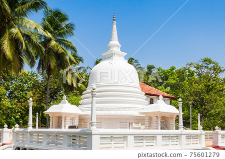 Buddhist Temple in Negombo 75601279