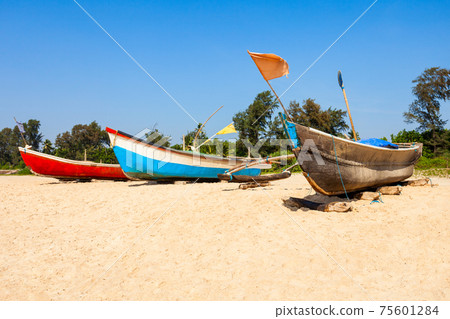 Beach in Goa, India 75601284