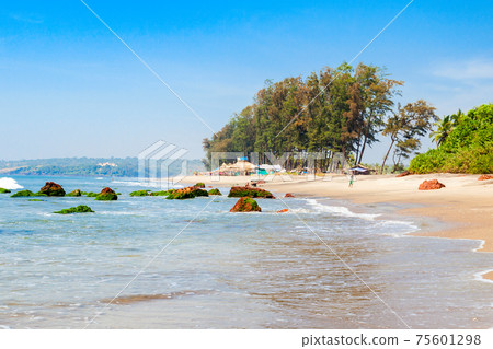 Beach in Goa, India Beach in Goa, India 75601298