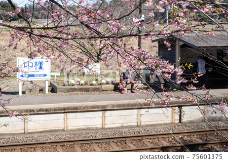 Spring local battle image 75601375