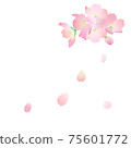 櫻花在花瓣中跳舞2 75601772