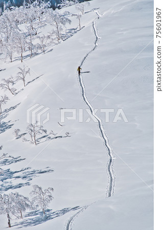 Backcountry in Hokkaido Backcountry in Hokkaido 75601967