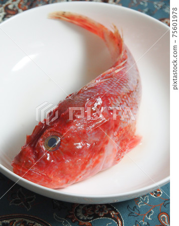 Onikasago (cooked) Onikasago (cooked) 75601978