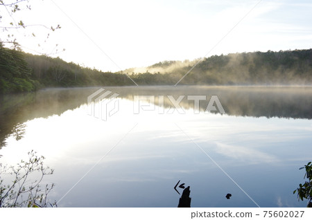 The water surface of Shirakoma Pond where the morning haze can enter The water surface of Shirakoma Pond where the morning haze can enter 75602027