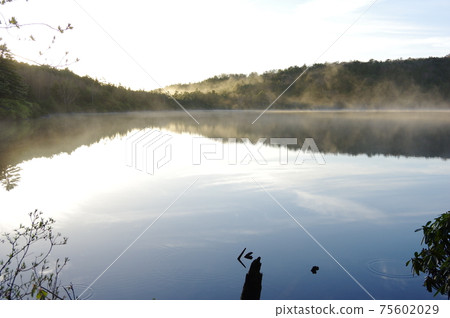 晨霧可以進入的湖 75602029